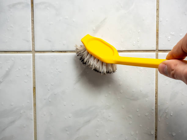  Bettendorf, IA Mold Removal Pros