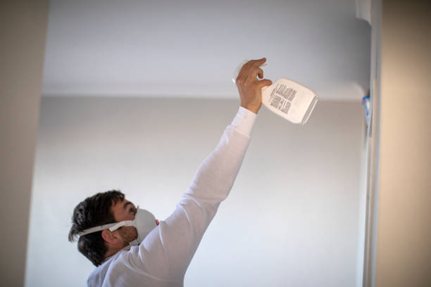 Best Black Mold Removal  in Bettendorf, IA