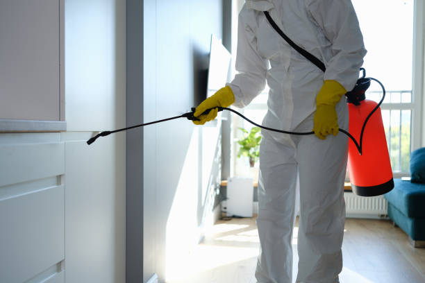 Best Office Mold Removal Services  in Bettendorf, IA