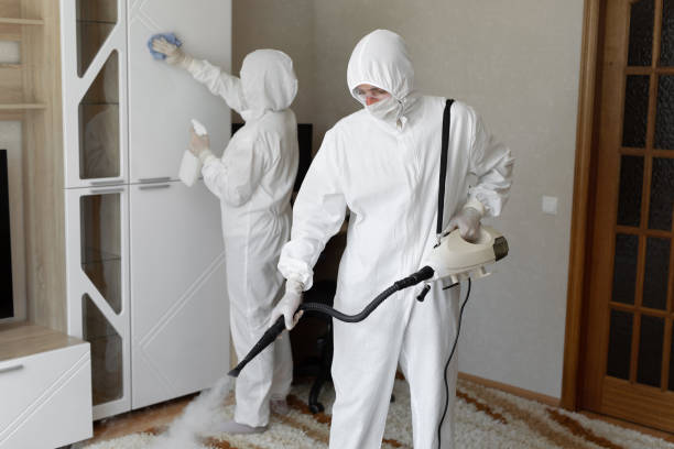 Professional Mold Removal in Bettendorf, IA