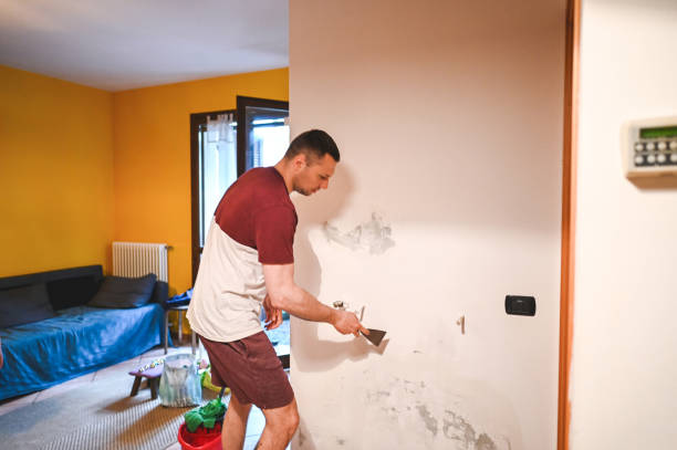 Best Crawl Space Mold Removal  in Bettendorf, IA